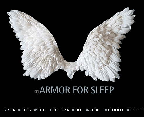 armor.gif (47529 bytes)