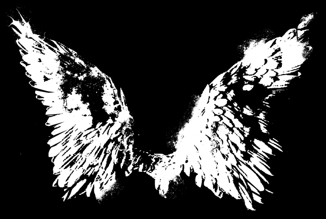 wings.gif (30874 bytes)