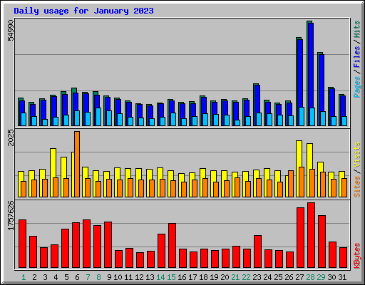 Daily usage for January 2023