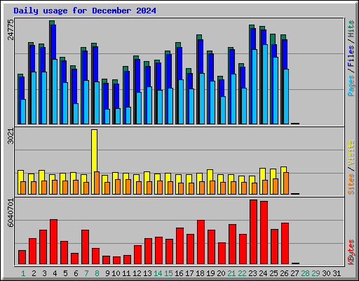 Daily usage for December 2024