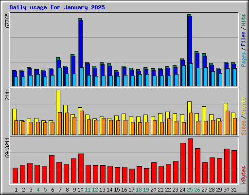 Daily usage for January 2025