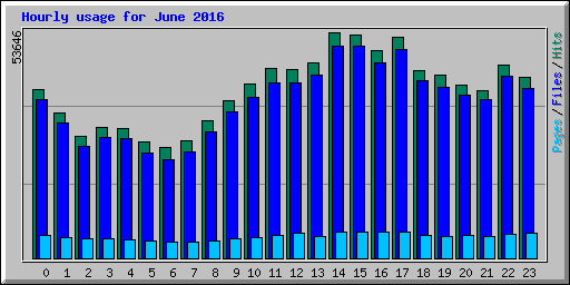 Hourly usage for June 2016