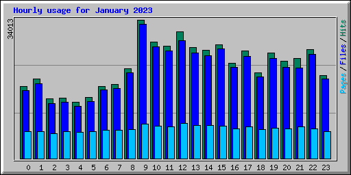 Hourly usage for January 2023