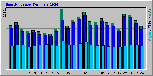 Hourly usage for May 2024