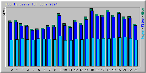 Hourly usage for June 2024