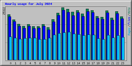 Hourly usage for July 2024