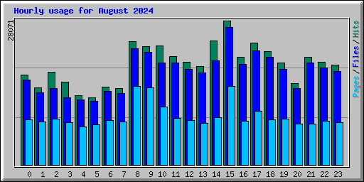 Hourly usage for August 2024