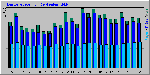 Hourly usage for September 2024