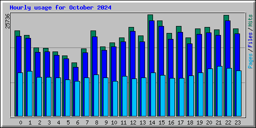 Hourly usage for October 2024