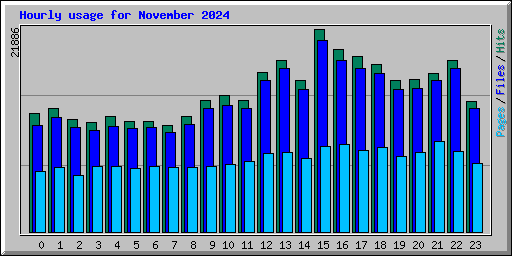 Hourly usage for November 2024