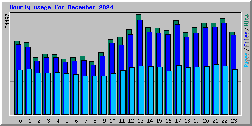 Hourly usage for December 2024