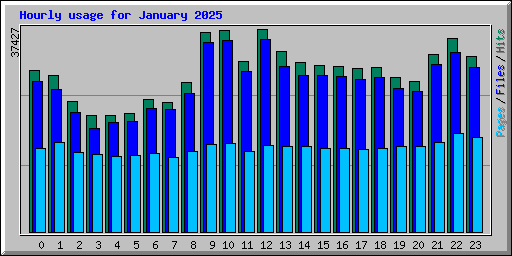 Hourly usage for January 2025