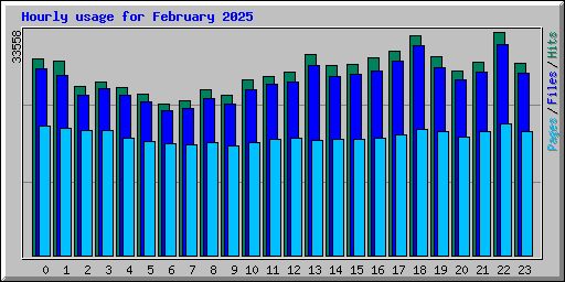 Hourly usage for February 2025