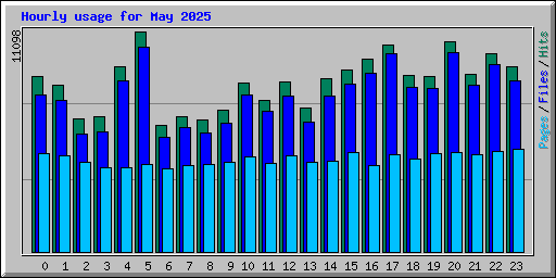 Hourly usage for May 2025