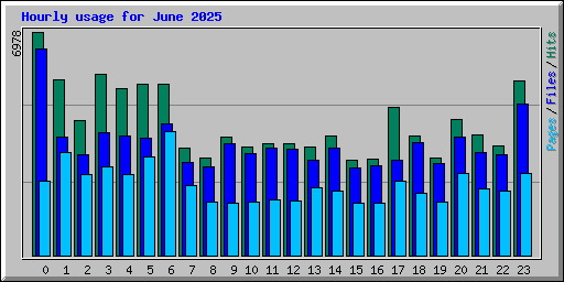 Hourly usage for June 2025