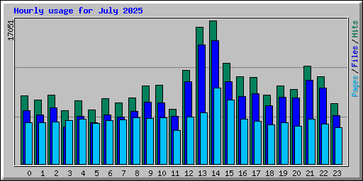 Hourly usage for July 2025