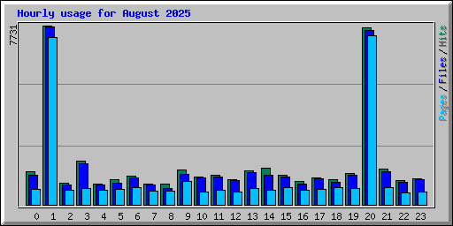 Hourly usage for August 2025