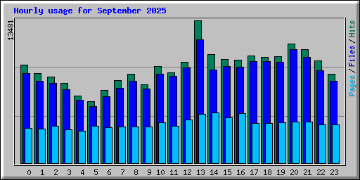 Hourly usage for September 2025