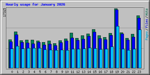 Hourly usage for January 2026