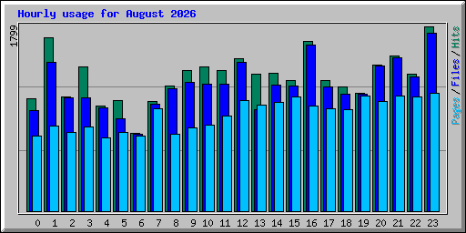 Hourly usage for August 2026